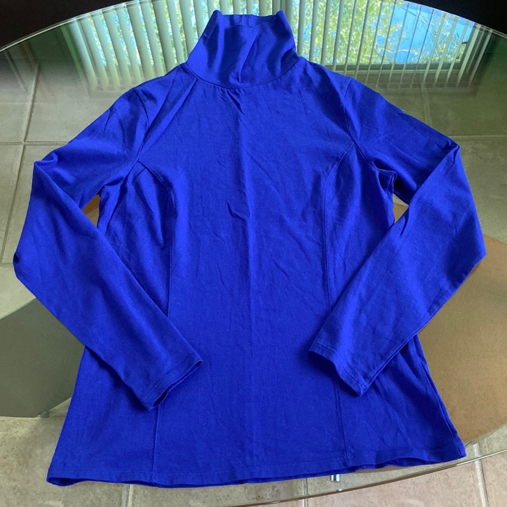 EUC Coldwater Creek turtleneck